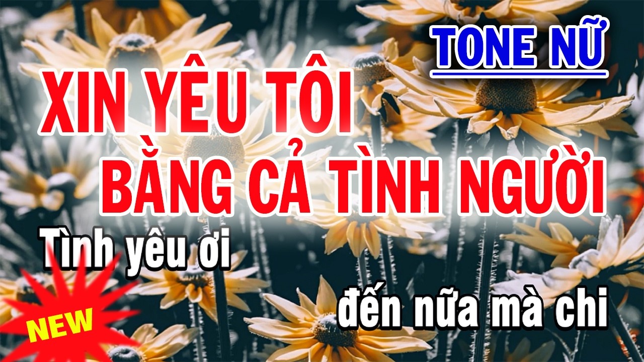 Xin Yêu Tôi Bằng Cả Tình Người Karaoke Tone Nữ - Beat Mới
