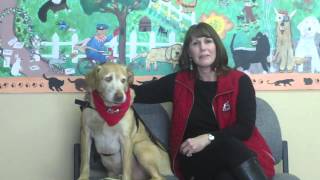 Allison and Jack Help a Young Man Recover