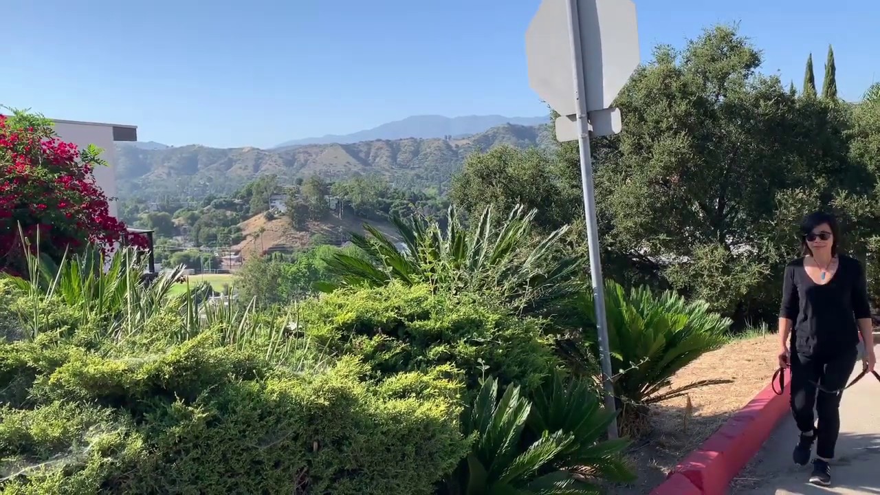 So Long - Intro - Barbara Tran