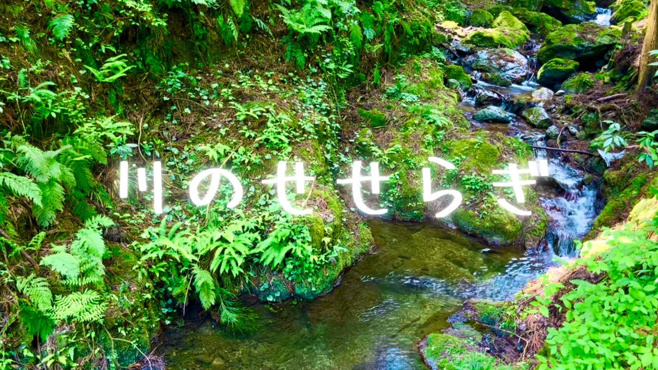 心地よい川のせせらぎと鳥の声[作業用・瞑想用・睡眠用BGM]自然音 - YouTube