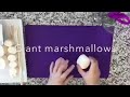 How To Make Hello Kitty Marshmallow 
