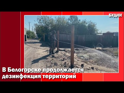 Дезинфекция «Междуречье»
