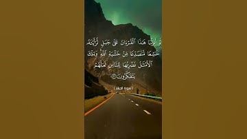 ما تيسر من سورة الحشر...القارئ أبو النور