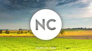 Killercats-caibu