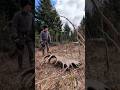 I can't believe I found this #mooseshed #shedhunting #moose