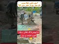 ❤️“Aankhon ne dekha, dil ne mehsoos kiya.”#Aesthetic#EmotionalVideo#LifeQuotes#Video@chluqman53