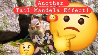 Chipmunk Tail Mandela Effect! 😳 Is a Chipmunks tail short & pointy tail or  longer & more bushy 🤔