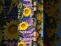 踏切アートアニメソング「イノセント・ゴシップ Innocent Gossip」City Pop J-POP #Shorts
