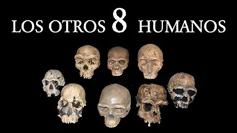 ¿Cuáles son los 2 tipos de humanos?