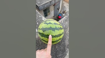 Experiment: Will watermelons and cantaloupes explode if they roll down from a tall building?