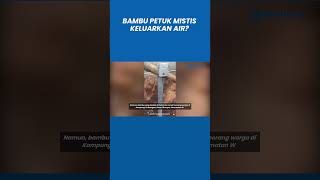 Bambu Petuk Mistis Keluarkan Air Bikin Geger Warga, Ternyata?