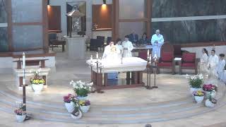 Sunday Mass - 11:00 a.m. - April 19, 2026