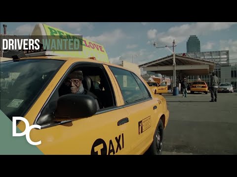 THE ECLECTIC COMMUNITY OF TAXI DRIVERS IN QUEENS, NEW YORK