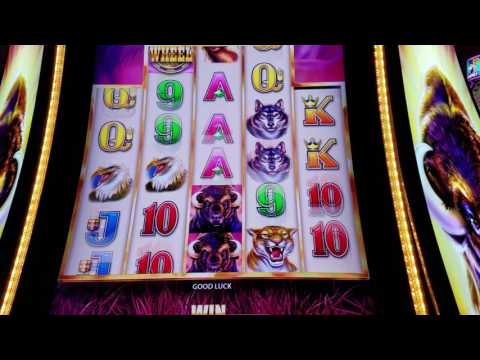 I Put $100 On Buffalo Grand Slot Here's What Happened !