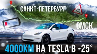 :   Tesla Model Y | 4000   -25 |