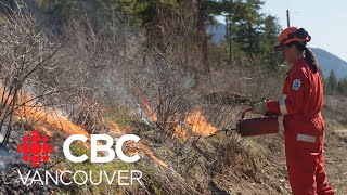 How cultural burning makes B.C. forests resilient to wildfire