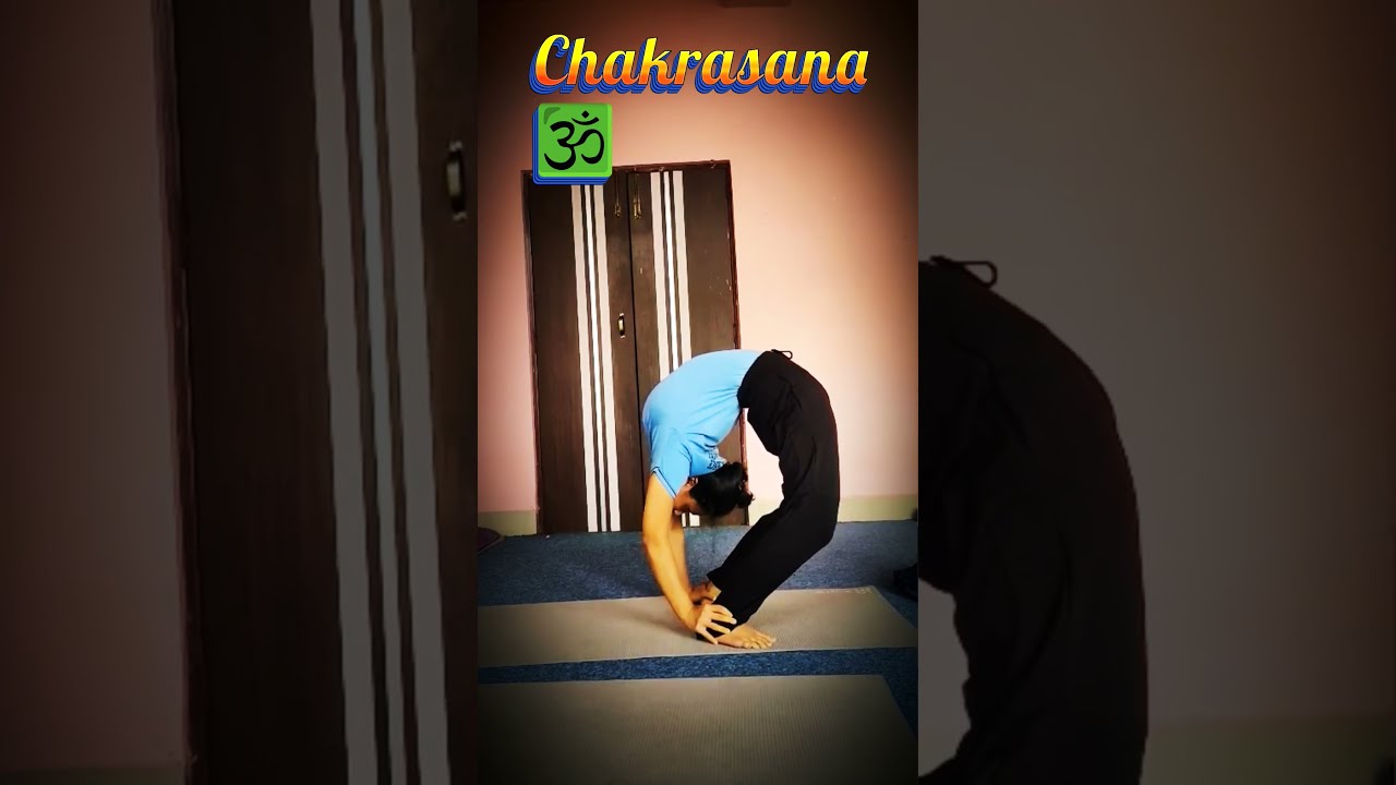 Purna Chakrasana Shorts