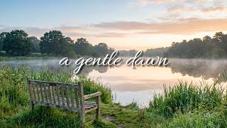 a gentle playlist for a lakeside bench at first light 🌳 soft piano for reading & quiet moments screenshot 4