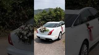 Journey to forever, driven with love Vailankanni Cryssa Wedding Drives | Weddingsdegoa