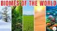 The Enchanting World of Rainforests: A Tapestry of Biodiversity ile ilgili video