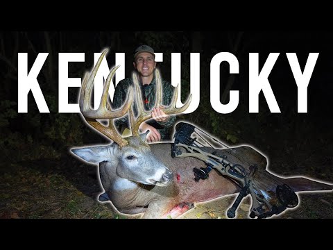 Video: Poți să vânezi căprioare în Kentucky?