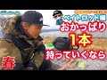 ベイトロッドたった一本でOK‼︎「迷わなくなる」春のおかっぱりルアーの選び方!【バスプロ解説】