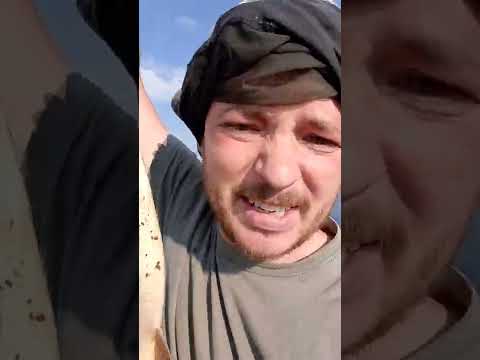 Язь что ли? Рыбалка на каменном. Язь на спиннинг.