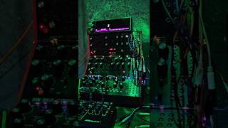 Dreamy Chill Patterns with Moog Labyrinth DFAM and Akai MPC One #dawless #music #synth #modular