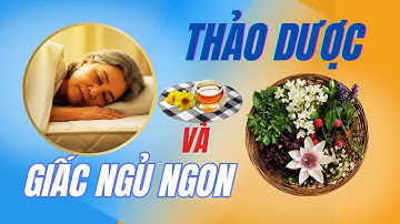 Thảo Dược Và Giấc Ngủ Ngon | 5 Cây Thuốc Nam Chữa Mất Ngủ An Toàn Hiệu Quả Ngay Tại Nhà