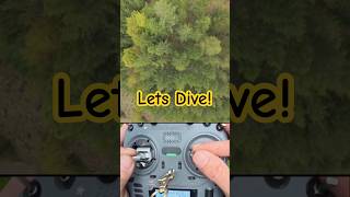 The Best Run of a Couple of Packs! #fpvfreestyle #nostab #treestyle #fpvdrone