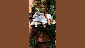 Calebe Videos