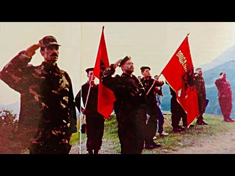 Video: Beteja për Kaukazin e Veriut. Pjesa 2. Beteja e dhjetorit