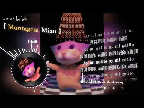 “阿米嘎蒂朵喵喵~” 復古小猫の小曲 喵喵の小曲 【Montagem Miau】