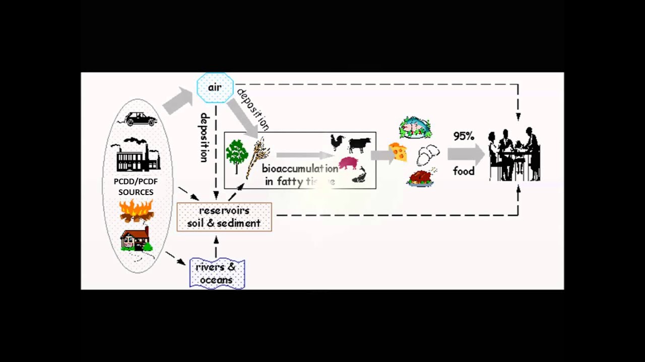 Risk Assessment and Risk Management of PCDD and PCDF in the Philippines ...