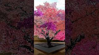 The Frankenstein Tree The Graft That Produces More Than 40 Different Fruits