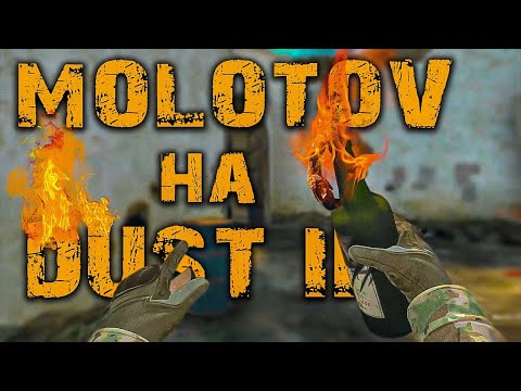 CS GO: молик