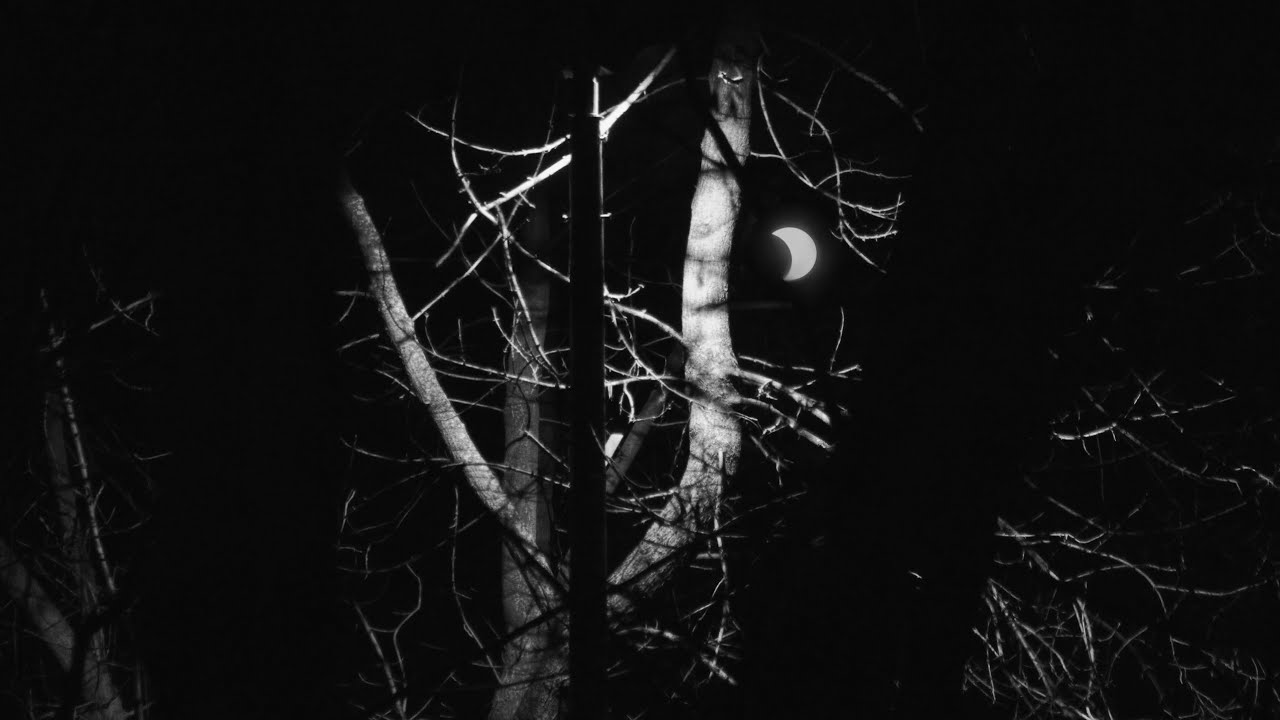 [illbient, dub, downtempo] spiritual moon - mix