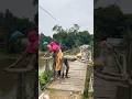 beast funny video2026