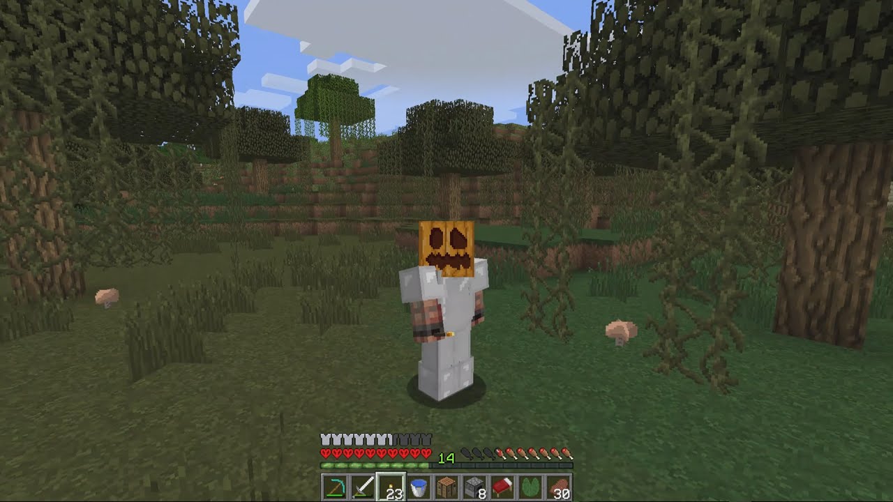 Ocean Madness - Minecraft Hardcore Single Player 1.10 - S5E8