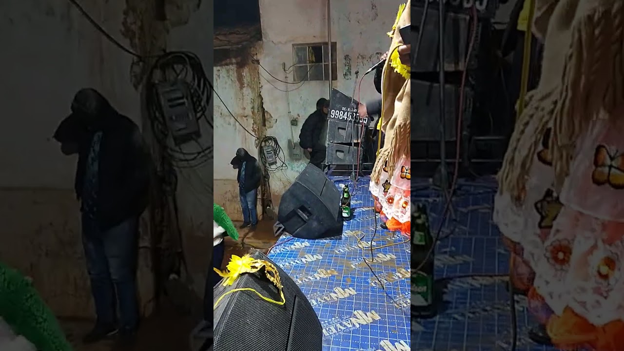 Zonia Carbajal pichos 2026