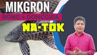 Mikgron Rong 4 Donggipa Na·tok | Shillong Good Shepherd Education And Charitable Trust | BrinBawe