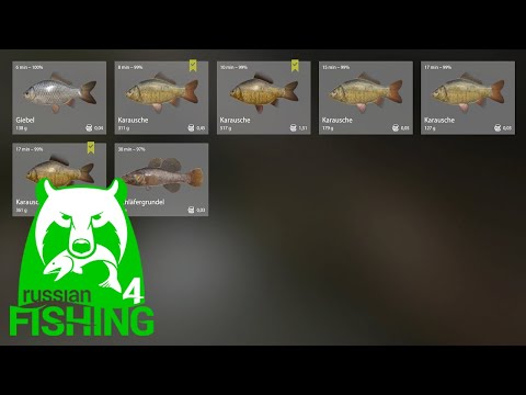 Video: Wo Kann Man Fisch Verkaufen?