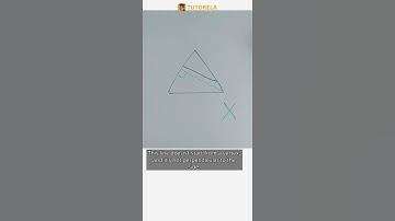 Is It Really the Height? Triangle Analysis #Math #Triangle #PartsOfATriangle
