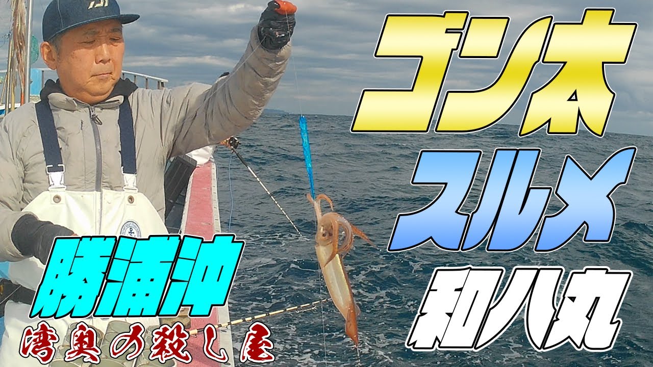勝浦ゴン太スルメイカIN和八丸 スルメイカ釣り 波の高い中、しゃくってしゃくってゴン太スルメ！