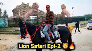 Lion Safari Etawah Epi2  Shivam Kohli Official @GullyBoys1436