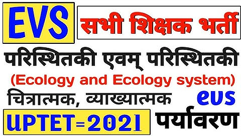पर्यावरण | पारिस्थितिकी एवम् पारिस्थितिकी तंत्र | ecology system uptet evs tet ctet mptet ecology