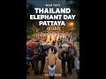 “เกิดอะไรขึ้นที่พัทยา? เทศกาลโฮลี 2026 สีสันสุดยิ่งใหญ่ | ข่าวไทยล่าสุด”