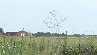 Cassville, Mo., residents worried about odor, pollution if Arkansas-based fertilizer company buil...