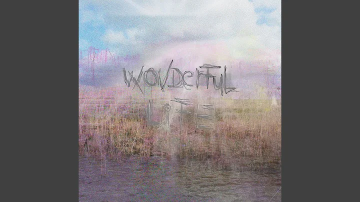 Wonderful Life
