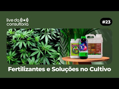 Fertilizantes para Cannabis: Principais Marcas, Soluções e Defensivos | Guia Completo de Nutrição